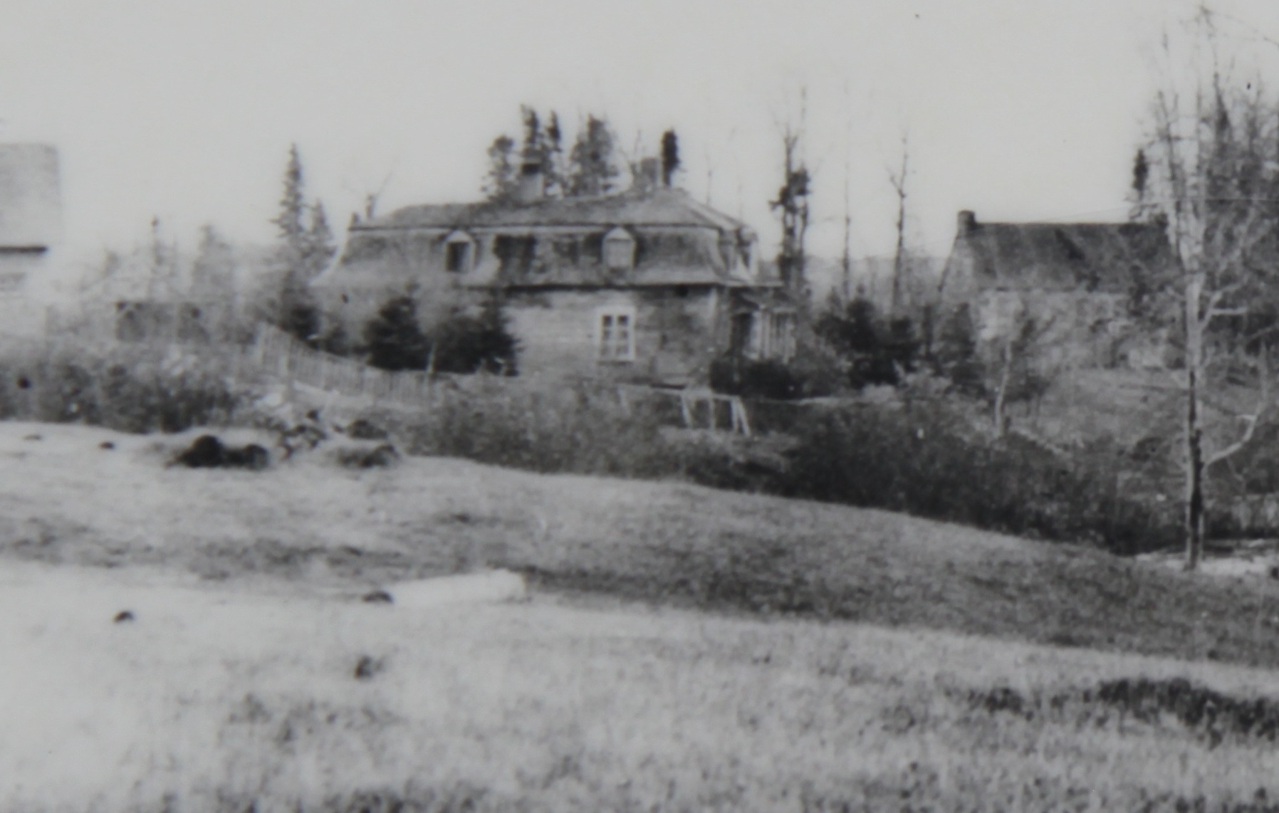 The Wood House Zoom with Stone House in Background